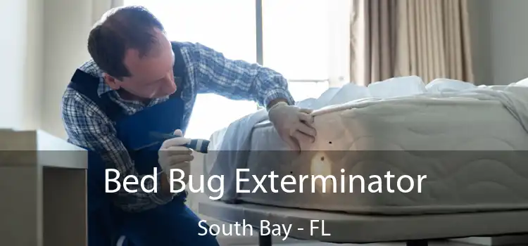  Bed Bug Exterminator South Bay - FL