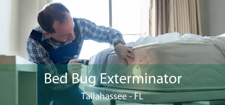  Bed Bug Exterminator Tallahassee - FL