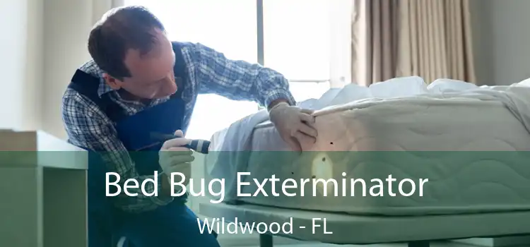  Bed Bug Exterminator Wildwood - FL