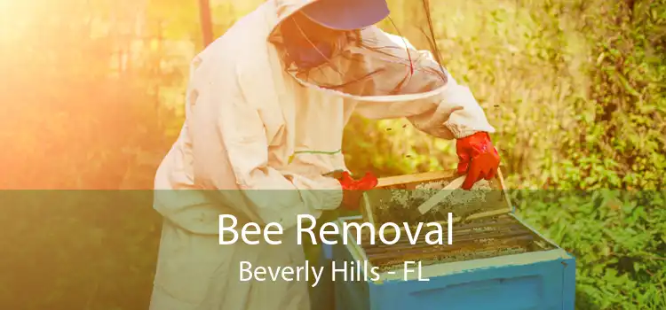 Bee Removal Beverly Hills - FL