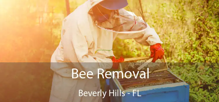 Bee Removal Beverly Hills - FL