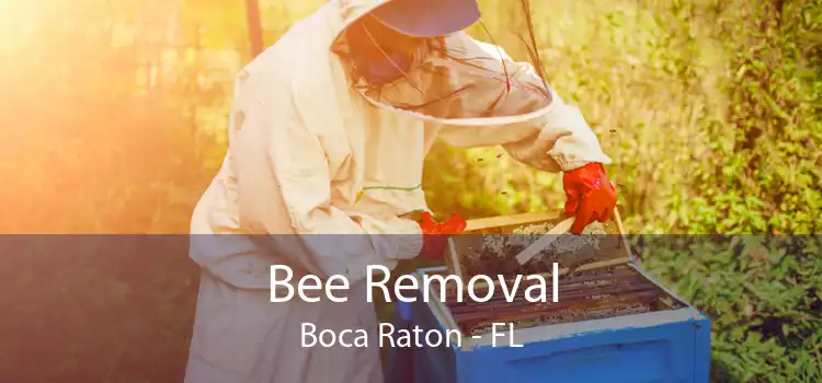 Bee Removal Boca Raton - FL