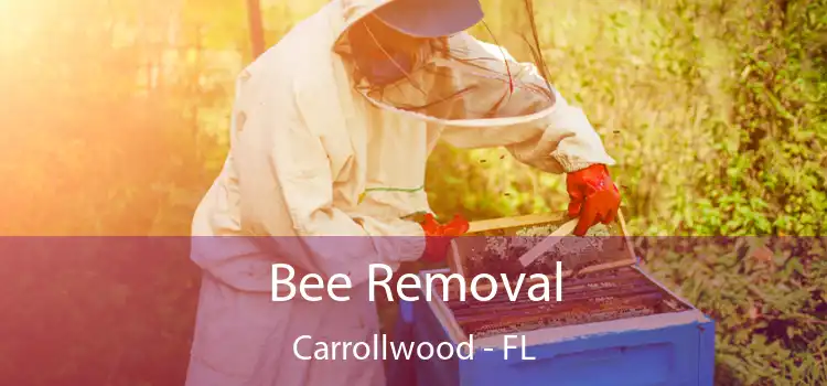 Bee Removal Carrollwood - FL