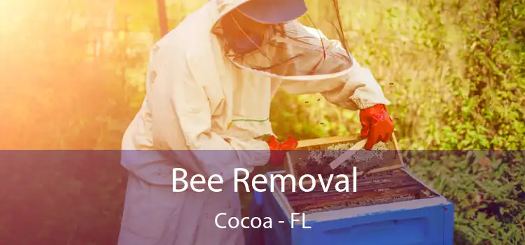  Bee Removal Cocoa - FL
