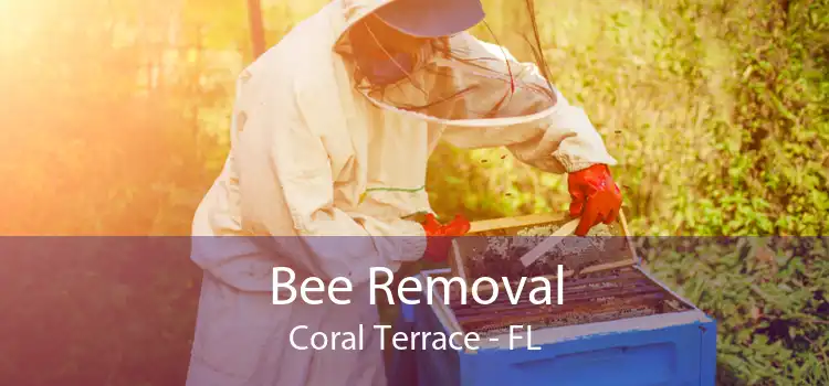 Bee Removal Coral Terrace - FL