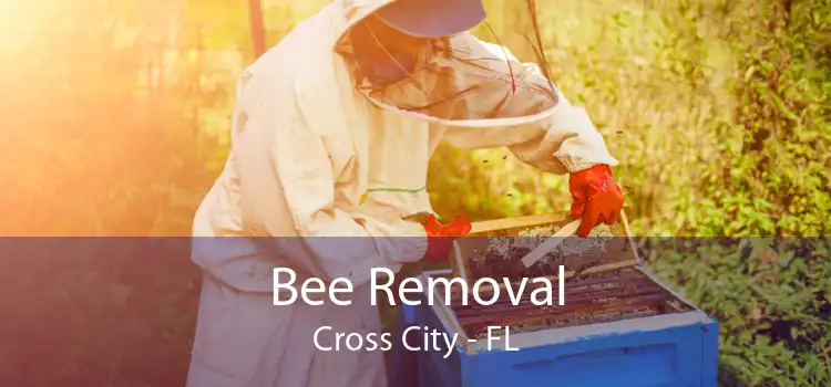 Bee Removal Cross City - FL