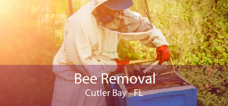 Bee Removal Cutler Bay - FL