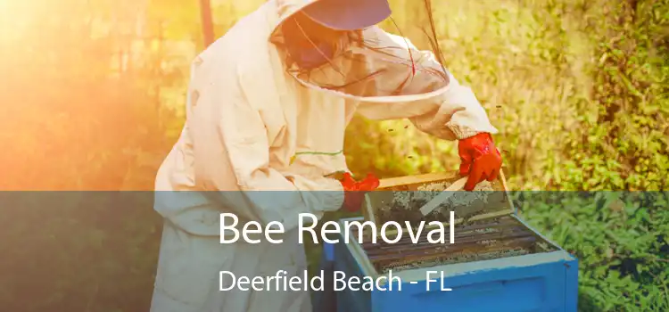 Bee Removal Deerfield Beach - FL