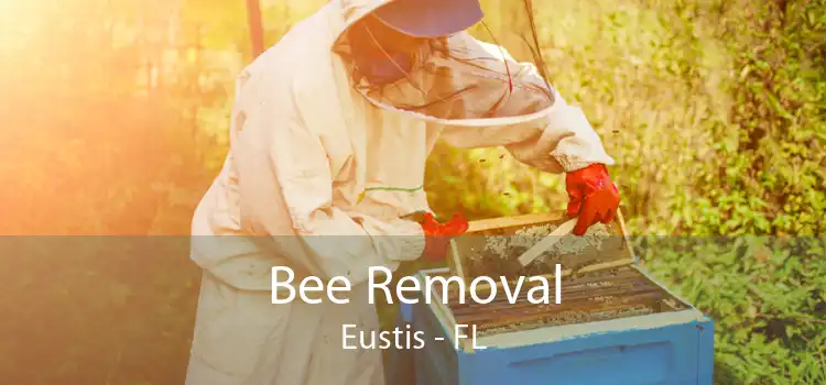 Bee Removal Eustis - FL