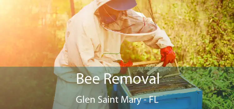 Bee Removal Glen Saint Mary - FL