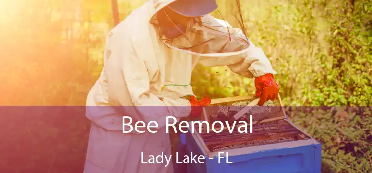 Bee Removal Lady Lake - FL