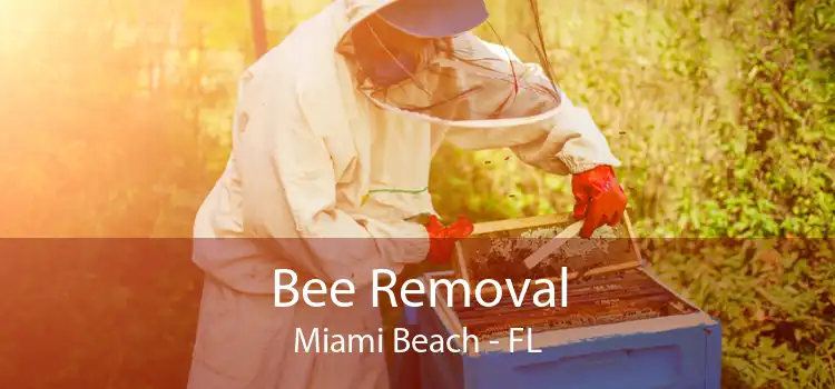 Bee Removal Miami Beach - FL