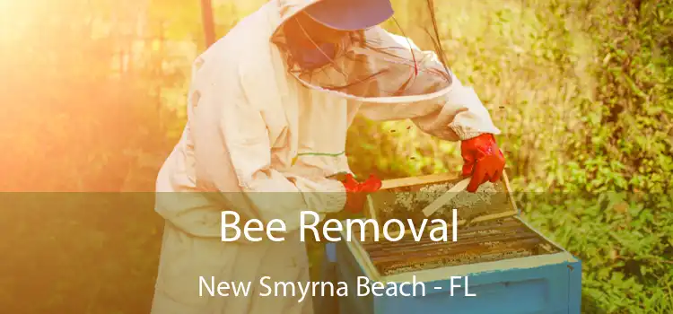 Bee Removal New Smyrna Beach - FL