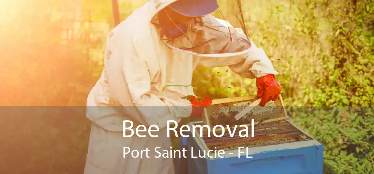 Bee Removal Port Saint Lucie - FL