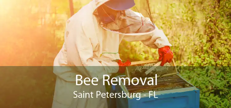 Bee Removal Saint Petersburg - FL