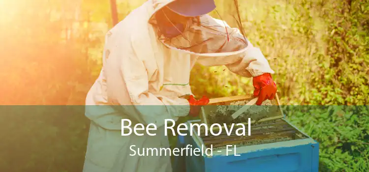 Bee Removal Summerfield - FL
