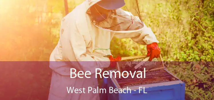  Bee Removal West Palm Beach - FL