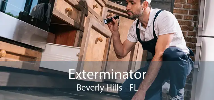 Exterminator Beverly Hills - FL
