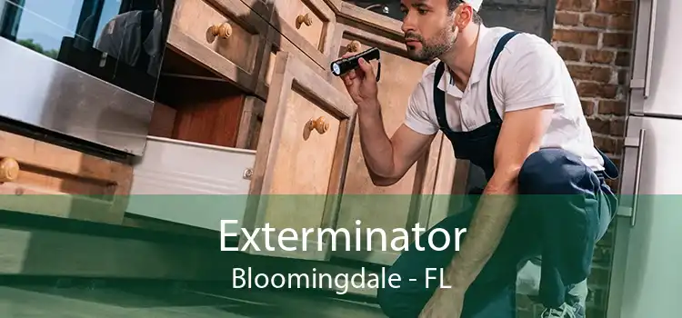 Exterminator Bloomingdale - FL