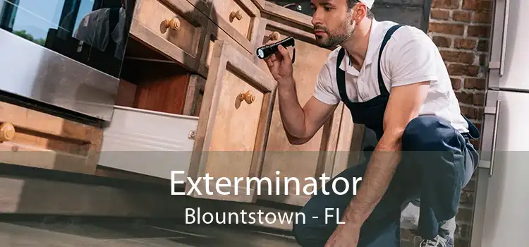 Exterminator Blountstown - FL