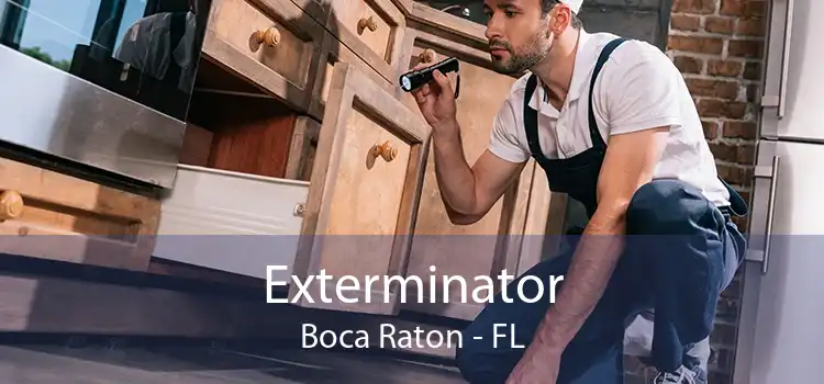 Exterminator Boca Raton - FL
