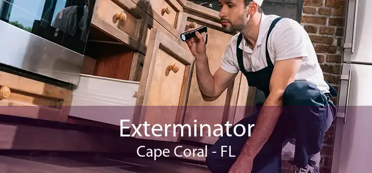 Exterminator Cape Coral - FL