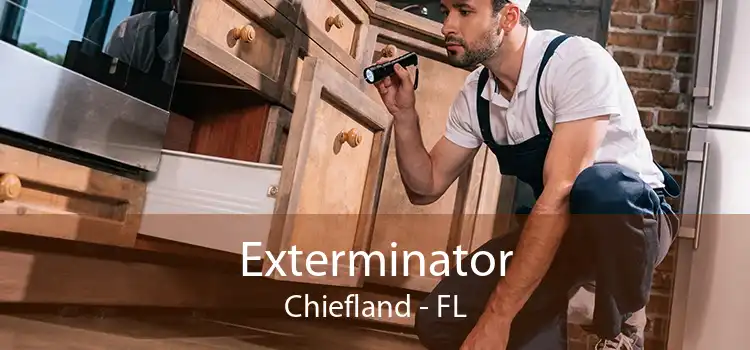 Exterminator Chiefland - FL