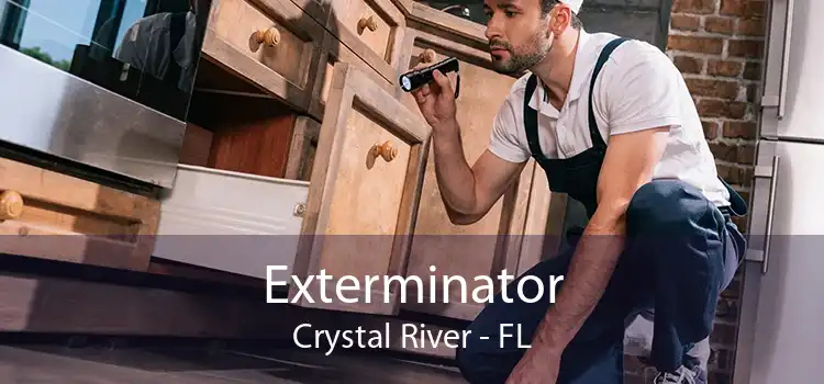Exterminator Crystal River - FL