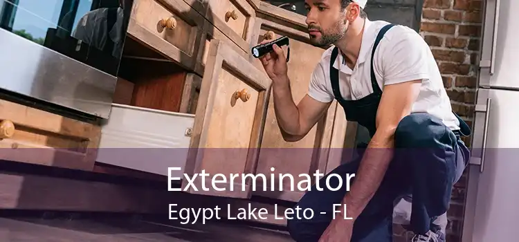 Exterminator Egypt Lake Leto - FL