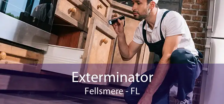 Exterminator Fellsmere - FL