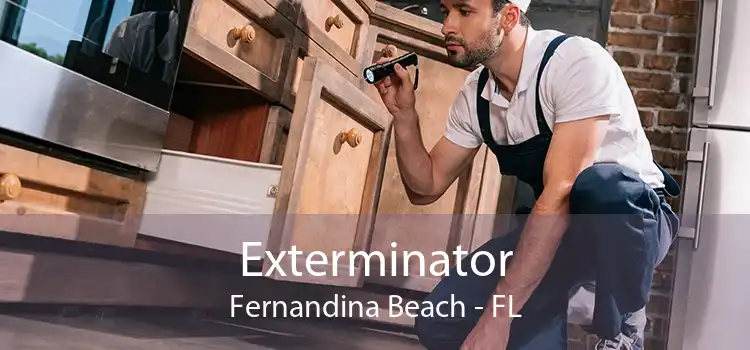 Exterminator Fernandina Beach - FL
