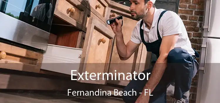 Exterminator Fernandina Beach - FL