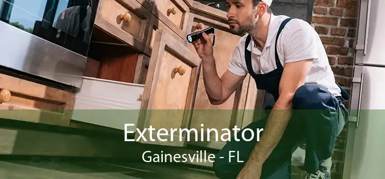 Exterminator Gainesville - FL