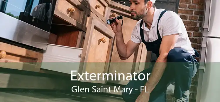 Exterminator Glen Saint Mary - FL