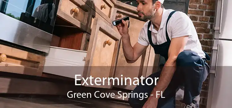 Exterminator Green Cove Springs - FL