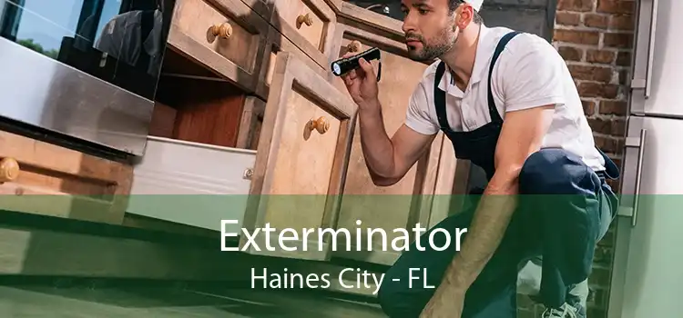 Exterminator Haines City - FL