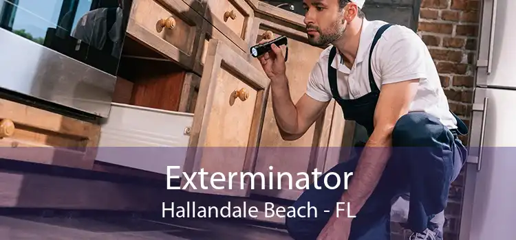 Exterminator Hallandale Beach - FL