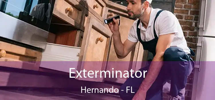 Exterminator Hernando - FL