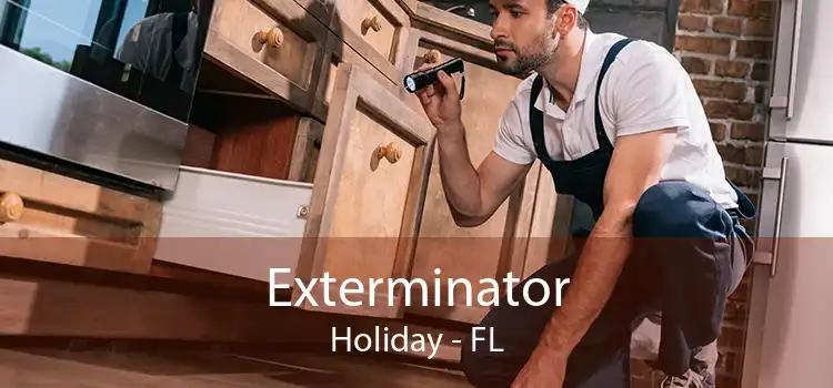 Exterminator Holiday - FL