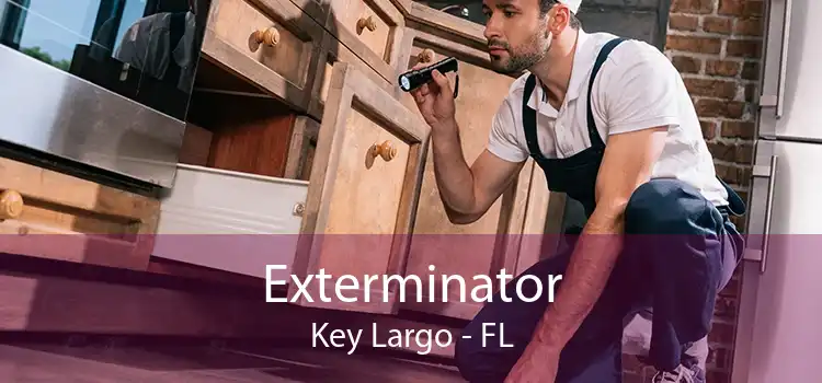 Exterminator Key Largo - FL