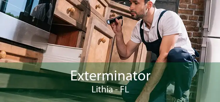Exterminator Lithia - FL