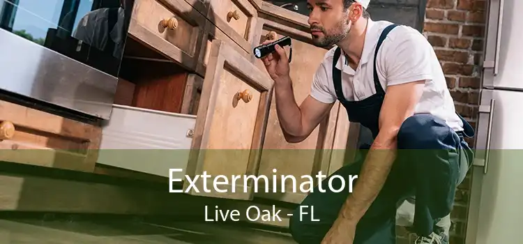 Exterminator Live Oak - FL