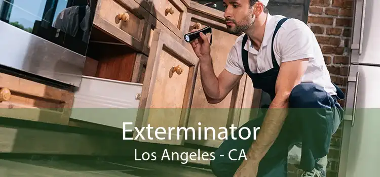 Exterminator Los Angeles - CA