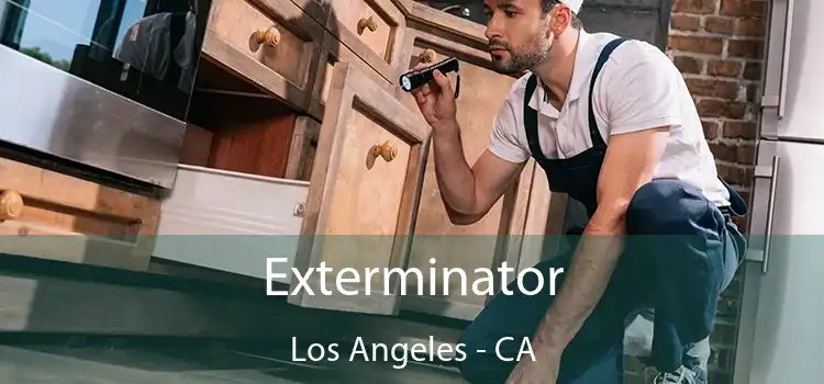 Exterminator Los Angeles - CA