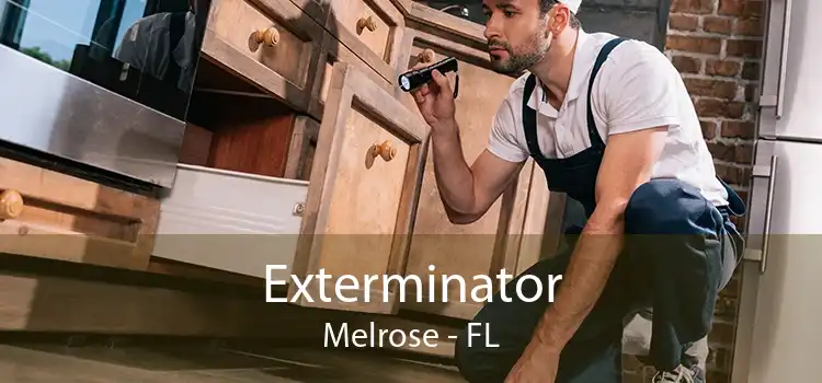 Exterminator Melrose - FL