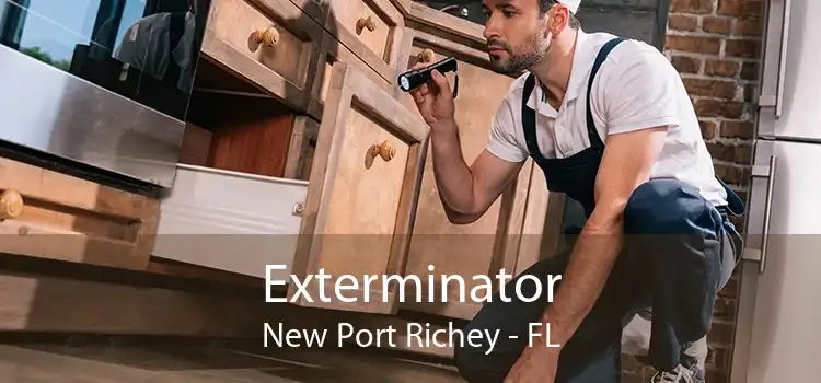 Exterminator New Port Richey - FL