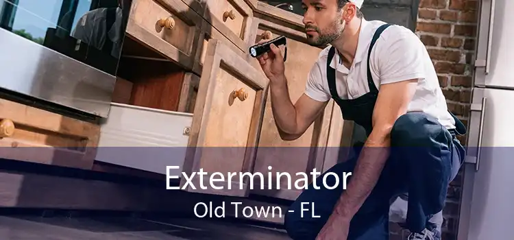 Exterminator Old Town - FL