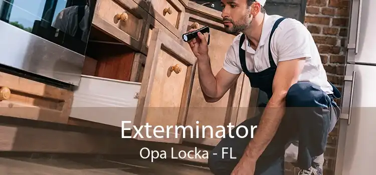 Exterminator Opa Locka - FL