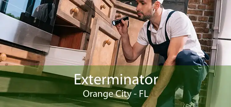 Exterminator Orange City - FL