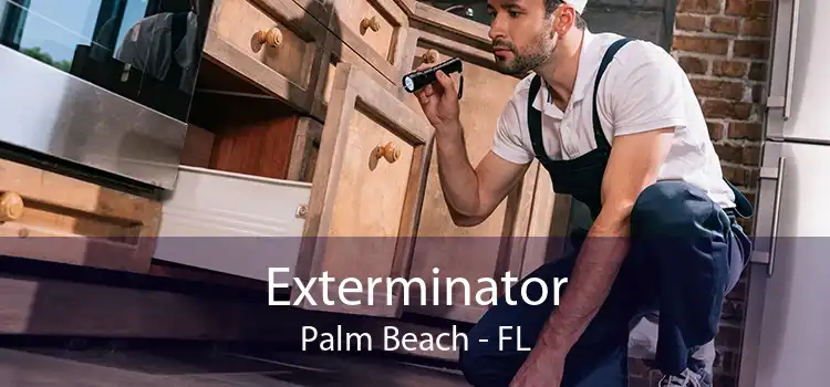 Exterminator Palm Beach - FL